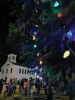 Filename=ROtree_4711.jpg
Filesize=139KiB
Dimensions=648x864
Date added=Dec 06, 2018 ROtree_4711.jpg