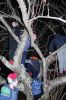 Filename=ROtree_4842.jpg
Filesize=243KiB
Dimensions=648x972
Date added=Dec 06, 2018 ROtree_4842.jpg