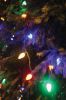 Filename=ROtree_4863.jpg
Filesize=155KiB
Dimensions=648x972
Date added=Dec 06, 2018 ROtree_4863.jpg