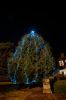 Filename=Rochester-Tree-17.jpg
Filesize=254KiB
Dimensions=792x1192
Date added=Dec 11, 2013 Rochester-Tree-17.jpg