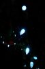Filename=Rochester-Tree-18.jpg
Filesize=98KiB
Dimensions=792x1192
Date added=Dec 11, 2013 Rochester-Tree-18.jpg