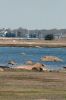 Filename=RockyJobsCove.jpg
Filesize=304KiB
Dimensions=1200x1800
Date added=Apr 28, 2010 RockyJobsCove.jpg