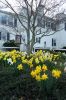 SPRING_6.jpg