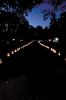Filename=Salty-0750.jpg
Filesize=108KiB
Dimensions=648x976
Date added=Oct 23, 2013 Salty-0750.jpg