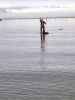 Filename=SantaPaddleboard.jpg
Filesize=71KiB
Dimensions=648x864
Date added=Dec 23, 2020 SantaPaddleboard.jpg