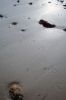 Filename=Sc_Hunt_1.jpg
Filesize=143KiB
Dimensions=648x976
Date added=Jan 02, 2014 Sc_Hunt_1.jpg