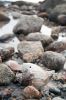 Filename=Sc_Hunt_5.jpg
Filesize=138KiB
Dimensions=648x976
Date added=Jan 02, 2014 Sc_Hunt_5.jpg