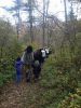 Filename=ScaryWalk_2.jpg
Filesize=151KiB
Dimensions=648x864
Date added=Oct 23, 2013 ScaryWalk_2.jpg