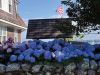 Filename=Shepley1_071824.jpg
Filesize=261KiB
Dimensions=960x720
Date added=Jul 17, 2024 Shepley1_071824.jpg