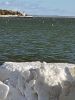 Filename=Shepley2.jpg
Filesize=97KiB
Dimensions=540x720
Date added=Feb 21, 2024 Shepley2.jpg