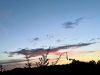 Shepley_091026.jpg
