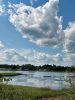 Shepley_2685.jpg