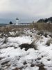 Filename=Shepley_5485.jpg
Filesize=163KiB
Dimensions=648x864
Date added=Dec 23, 2020 Shepley_5485.jpg
