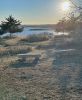 Filename=Shepley_Monro-Park.jpg
Filesize=170KiB
Dimensions=593x720
Date added=Mar 16, 2022 Shepley_Monro-Park.jpg