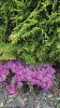 Filename=Sherry-Bessey.jpg
Filesize=155KiB
Dimensions=405x720
Date added=May 06, 2020 Sherry-Bessey.jpg