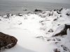 Filename=Snow_DG__0333.jpg
Filesize=103KiB
Dimensions=864x648
Date added=Feb 14, 2013 Snow_DG__0333.jpg