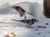 Filename=Sotrm_Parker.jpg
Filesize=105KiB
Dimensions=961x720
Date added=Feb 03, 2022 Sotrm_Parker.jpg