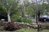 StormDamage54_04-2.jpg