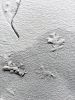 Filename=Storm_Shepley_1.jpg
Filesize=140KiB
Dimensions=540x720
Date added=Feb 03, 2022 Storm_Shepley_1.jpg