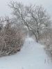Filename=Storm_Shepley_2.jpg
Filesize=139KiB
Dimensions=540x720
Date added=Feb 03, 2022 Storm_Shepley_2.jpg