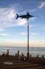Filename=Storytime66_1201.jpg
Filesize=187KiB
Dimensions=1200x1800
Date added=Nov 30, 2011 Storytime66_1201.jpg