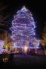 Filename=Stroll56_1215.jpg
Filesize=530KiB
Dimensions=1200x1807
Date added=Dec 14, 2011 Stroll56_1215.jpg