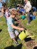 SunflowerPlanting.jpg