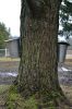 Filename=Syrup_2412.jpg
Filesize=137KiB
Dimensions=480x720
Date added=Feb 28, 2018 Syrup_2412.jpg