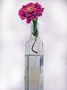 Filename=TMCFeature_3.jpg
Filesize=102KiB
Dimensions=648x864
Date added=Feb 26, 2014 TMCFeature_3.jpg