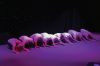 TaborPlay_9553.jpg