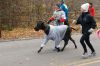 TurkeyTrot_0952.jpg