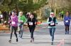 Filename=TurkeyTrot_1552.jpg
Filesize=247KiB
Dimensions=1078x720
Date added=Nov 21, 2018 TurkeyTrot_1552.jpg