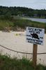 Filename=Turtles_9301.jpg
Filesize=156KiB
Dimensions=648x972
Date added=Sep 07, 2016 Turtles_9301.jpg