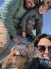 Filename=UpTo_Amy-Reis-Mitcheson.jpg
Filesize=102KiB
Dimensions=540x720
Date added=Apr 01, 2020 UpTo_Amy-Reis-Mitcheson.jpg