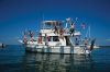 Filename=Wepecit_Splash.jpg
Filesize=157KiB
Dimensions=1200x799
Date added=Aug 17, 2011 Wepecit_Splash.jpg
