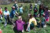 arbor-day---16.jpg