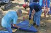 Filename=playground1.jpg
Filesize=196KiB
Dimensions=864x576
Date added=Aug 14, 2013 playground1.jpg