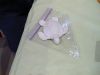 Filename=sea_turtles_2014_022.jpg
Filesize=40KiB
Dimensions=648x486
Date added=Mar 12, 2014 sea_turtles_2014_022.jpg