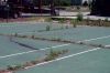 Filename=tennis102.jpg
Filesize=234KiB
Dimensions=1200x800
Date added=May 26, 2010 tennis102.jpg