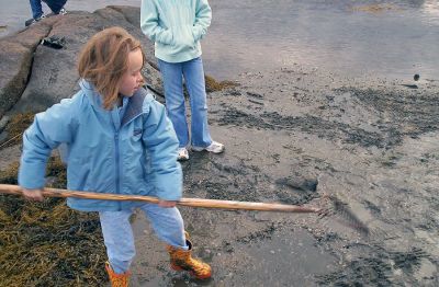 Raking In The Clams!
The Marion Natural History Museum recently sponsored a Soft-shell Clam Relay where student participants sucessfully planted 50,000 clams off Silvershell Beach in Marion. The group was assisted by Marion Shellfish Warden Issac Perry. (Photos by and courtesy of Elizabeth Leidhold, Marion Natural History Museum).
