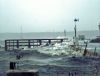 MTWharf-Gibb.jpg