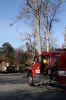 Filename=WT_011612.jpg
Filesize=122KiB
Dimensions=426x639
Date added=Jan 16, 2012 WT_011612.jpg