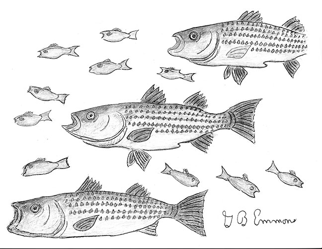 Striper Migration Chart