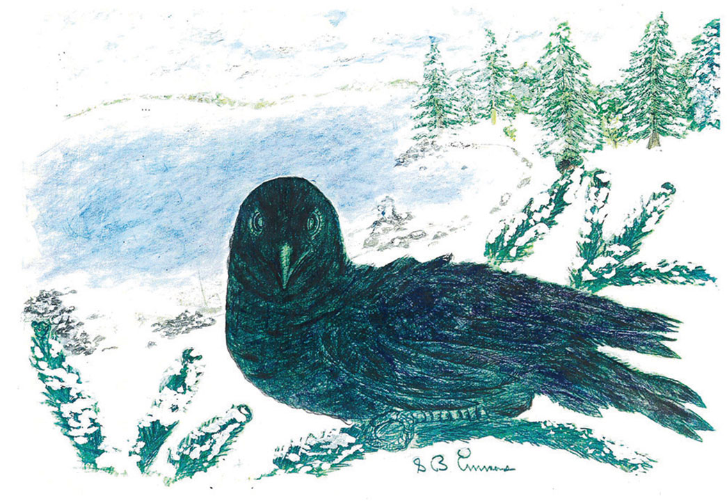 George Crow Not All Crows Say ‘Caw’